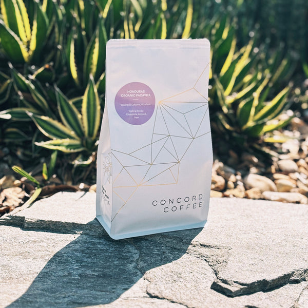 Honduras - Organic Pacavita