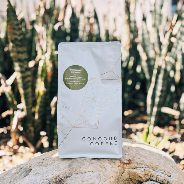 Guatemala - Xocomil