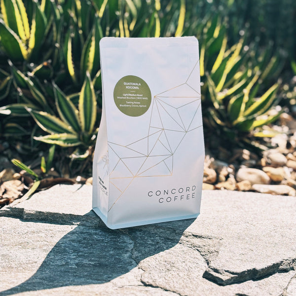 Guatemala - Xocomil