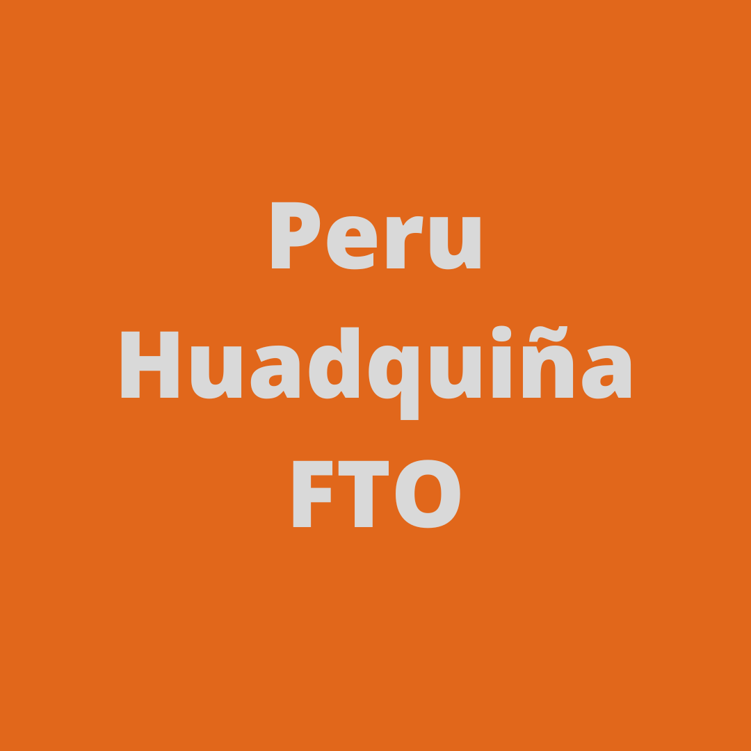 Peru Huadquiña FTO