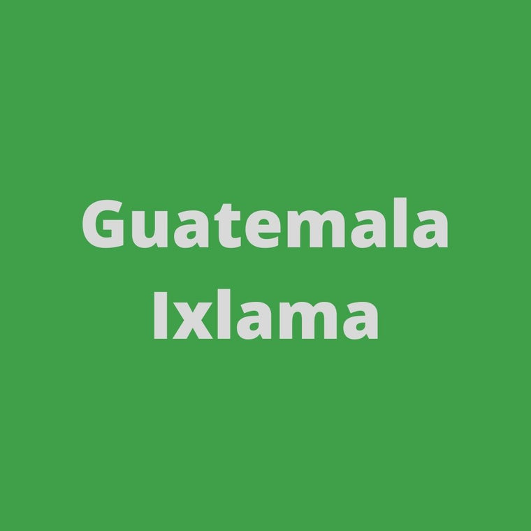 Guatemala Xocomil